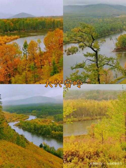 大兴安岭四连零背后的防控网：北疆寒地如何守住疫情底线？