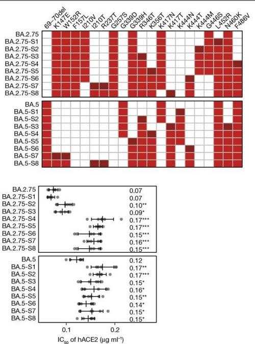 辽宁免疫逃逸株康复期患者特征分析与防控启示2020-2022年新冠疫情研究