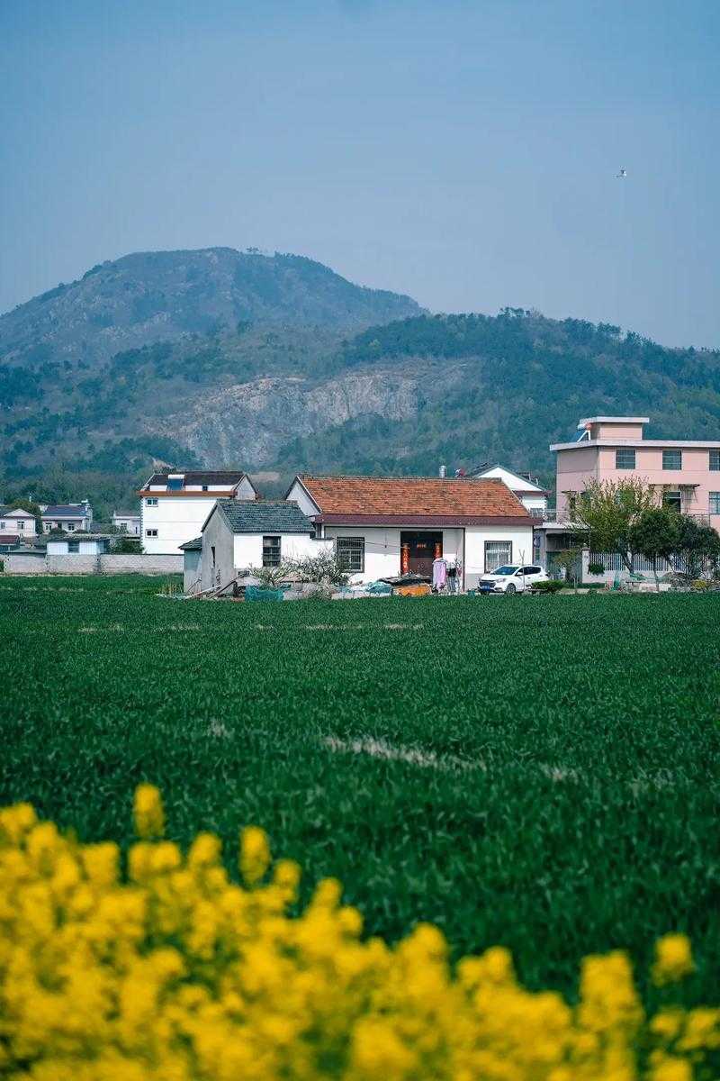 31省份多点散发，安徽桐城7例为何成防控新焦点？