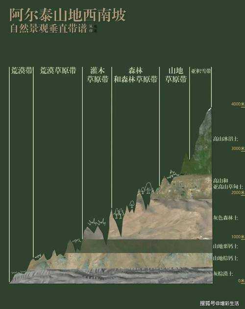 西南山地的防控裂隙：巫溪县突发疫情暴露的地理困局