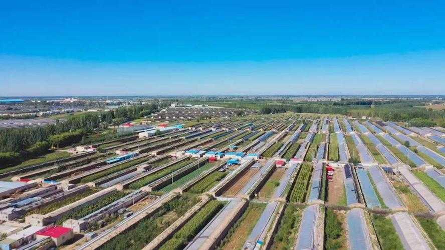 31省份多点散发，五原县新增7例为何成区域波动关键？