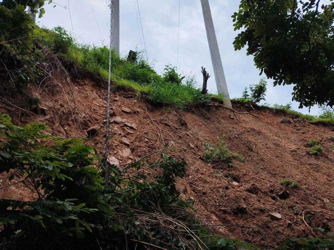 长三角防控网的裂痕：临平区突发疫情暴露的流动风险