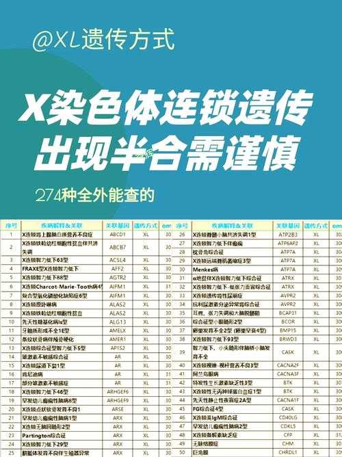 XBB变异株沉默性缺氧特征解析与复阳关联实证研究2020-2022