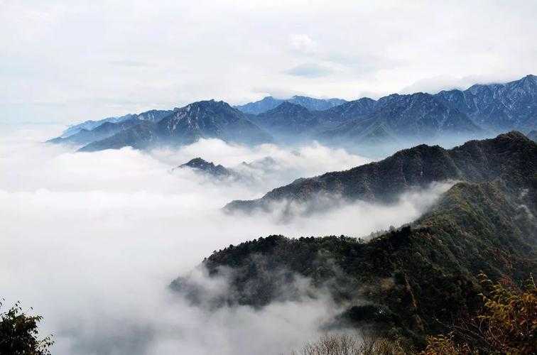 藏在秦岭南麓的防疫孤岛：康县何以三载零确诊？