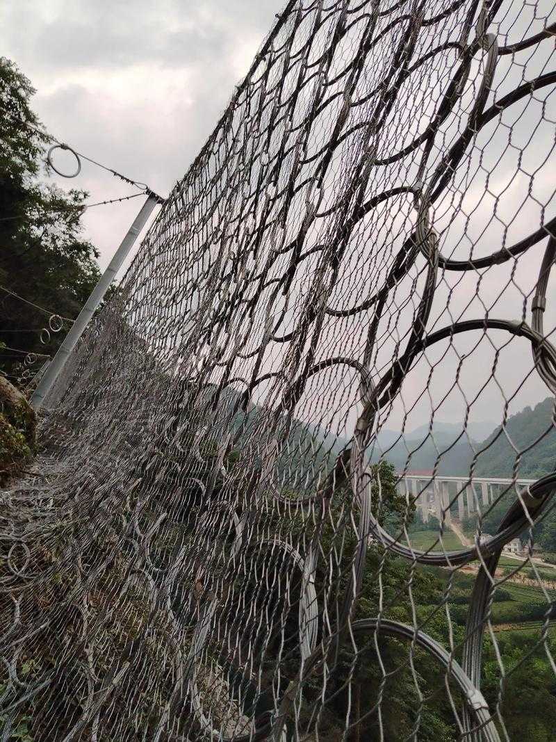 台州市全域防控启示录：零新增背后的立体阻隔网