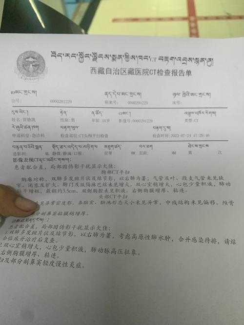 青藏高原防线下的防疫样本：申扎县为何连续176天无新增病例