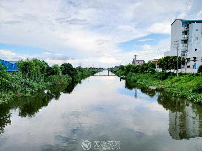 31省份多点散发，江苏泰兴新增5例为何成焦点？