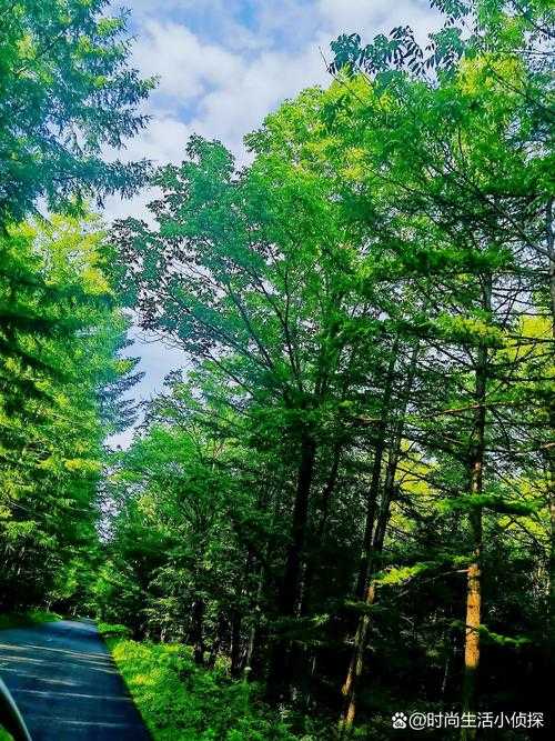 小兴安岭南麓隐忧:丰林县15例确诊折射冬季防控困局