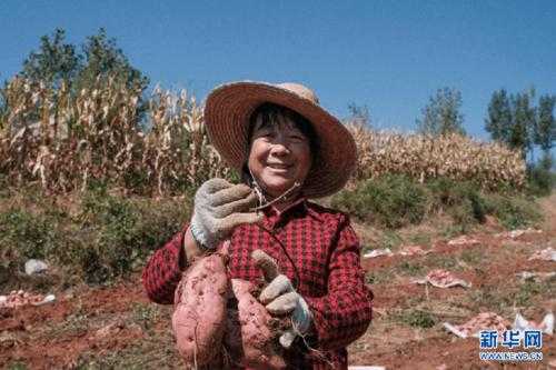 高原屏障下的防疫防线：柳林县零新增背后的地理密码