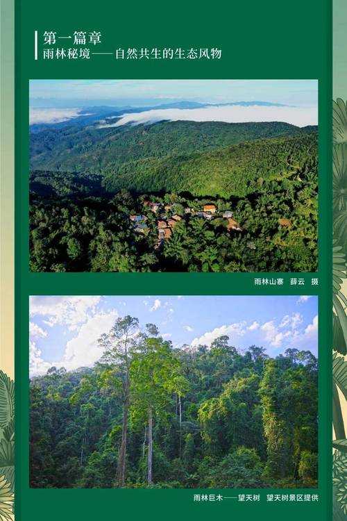 景洪市疫情风暴眼：云南西双版纳防控压力背后的地理密码