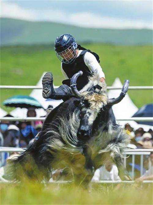 高原防线下的隐忧：红原县新增病例引发多省联动响应