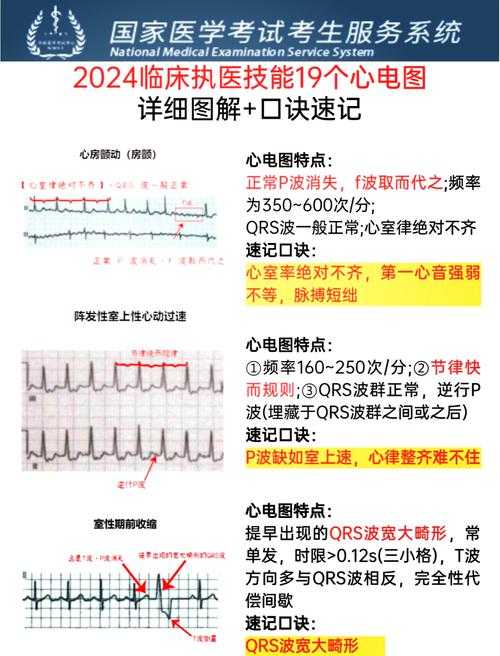 内蒙古新冠肺炎疫情期间心率过速应对指南