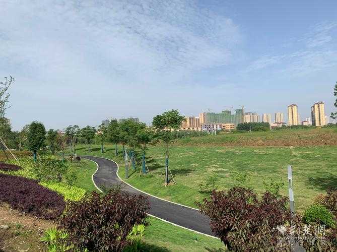 澴河两岸的静默坚守：孝感如何实现疫区零扩散奇迹