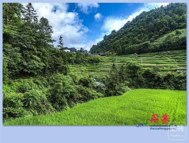 【31省份多点散发，丹寨12例为何成防控焦点？】