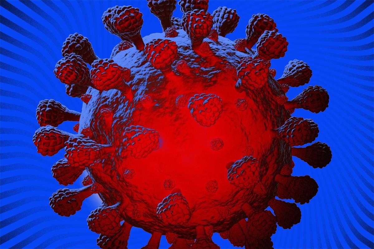 2020-2022新冠疫情期间奥密克戎JN1防疫屏障构建与突破