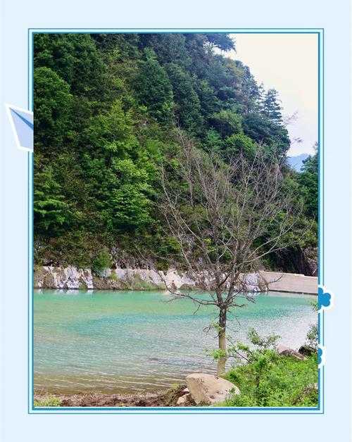 【31省份多点散发，留坝县5例为何成防控焦点？】