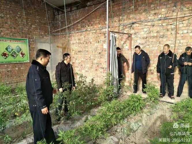 31省份多点散发，永兴县5例暴露防控盲区