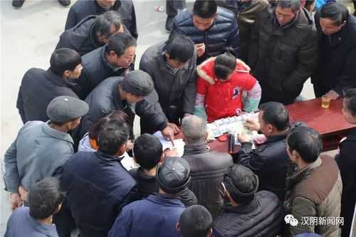 秦巴山下微波动：汉阴县防疫网中的7例确诊之谜