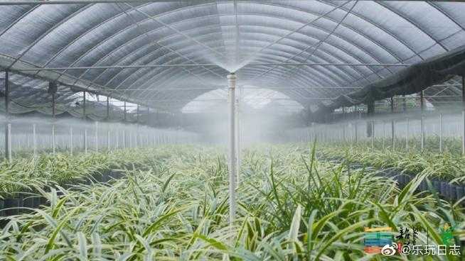 翁源：粤北低谷中的防控样本