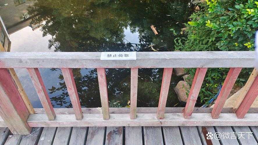 永嘉县：瓯江畔的防疫孤岛——浙江疫情「洼地」背后的地理密码