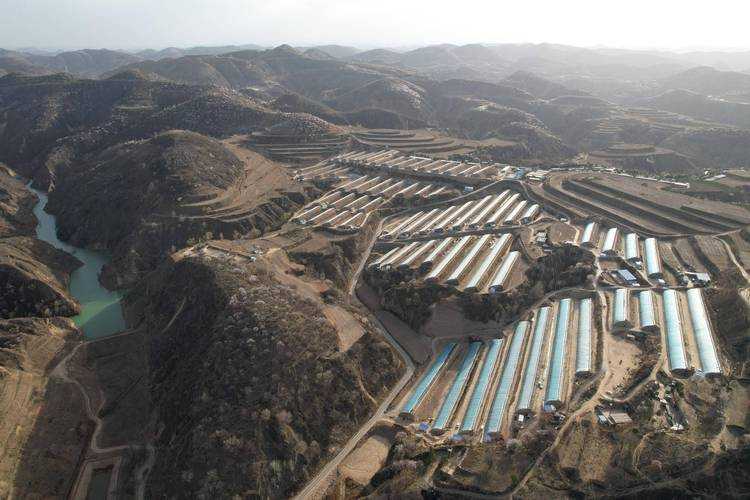 陕西铜川3例确诊引关注，黄土高原防疫何以破局？