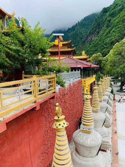 【31省份多点散发，四川丹巴县5例引关注】