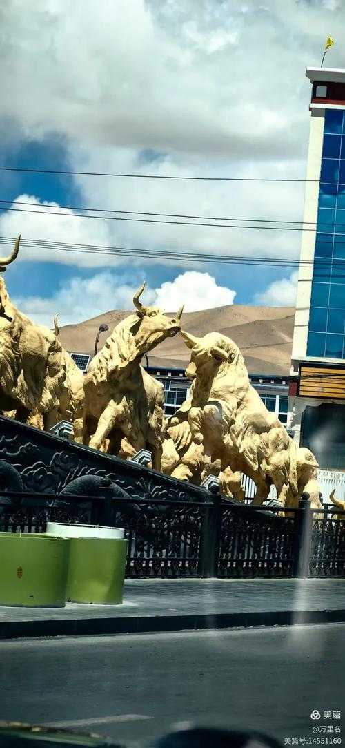 全国多点散发下的革吉例外：青藏高原为何成为防控新堡垒？