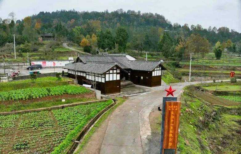 【川东北防疫孤岛消逝：通江县新增3例背后的城市裂痕】