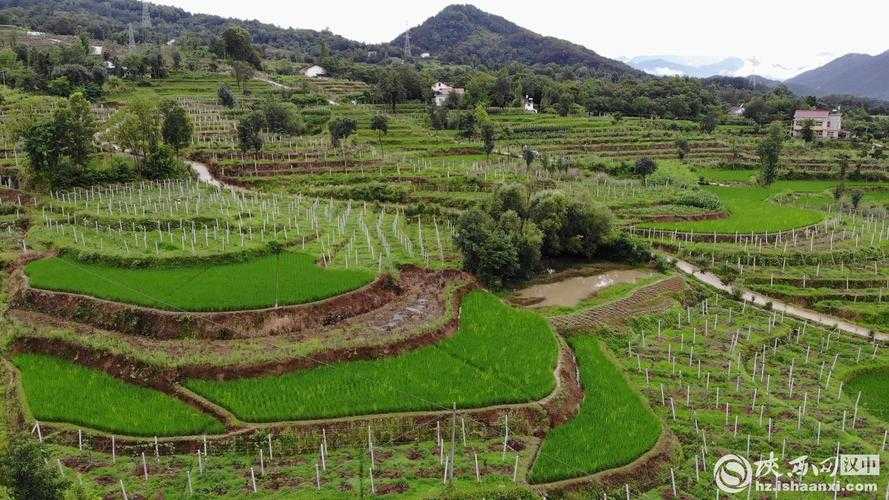 秦巴山地间的风险：陕西南郑区疫情突破防控链