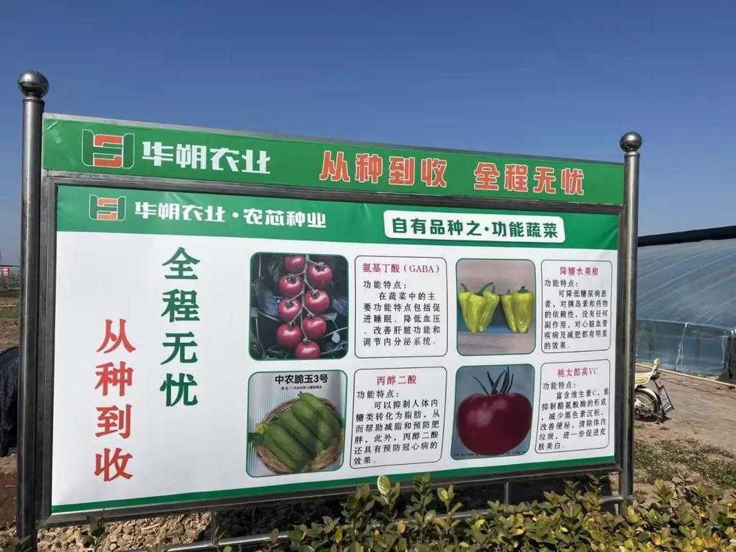 【山东寿光：蔬菜物流枢纽的无疫防控密码——一座农业重镇如何守住疫情防线】