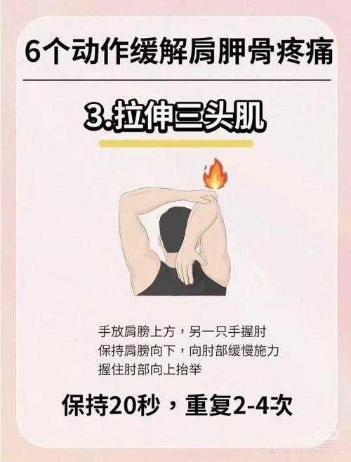 安徽XBB系肌肉酸痛应对指南:新冠变异株症状管理实操