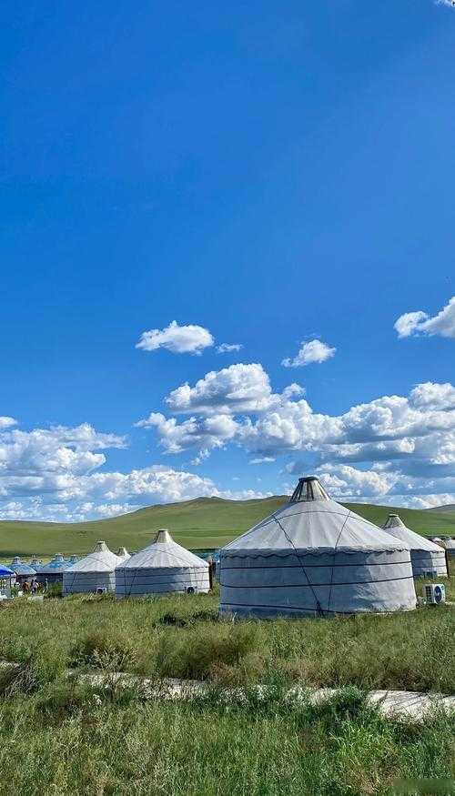 草原牧区惊现疫情高发区：内蒙古宁城县为何成防控难点？