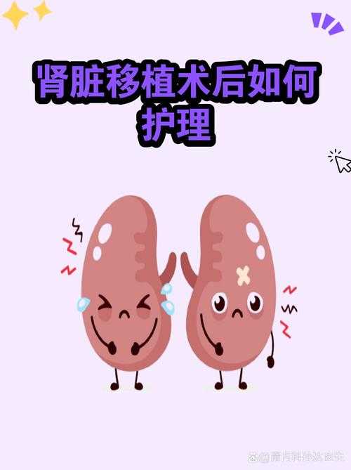 安徽疫情防控提醒：年关免疫逃逸株高发期用药指南