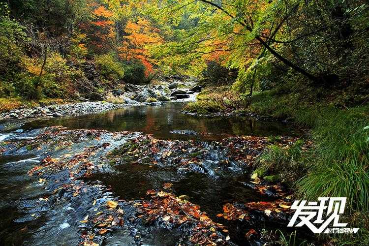 安康市疫情防控现波动，大巴山深处为何成疫情新焦点？