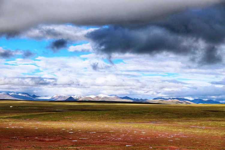 青藏高原防控网现漏洞：都兰县新增10例确诊病例透视