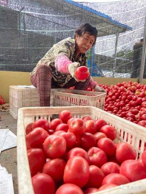 31省份多点散发，壶关县5例确诊折射山地防疫短板