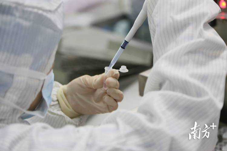 春运返乡潮下奥密克戎亚型康复期患者防控要点