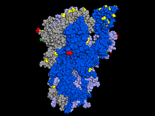 2020-2022吉林奥密克戎JN1阳性病例应急处置要点解析