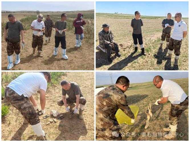 察哈尔右翼后旗疫情突袭，内蒙古防控网现新缺口