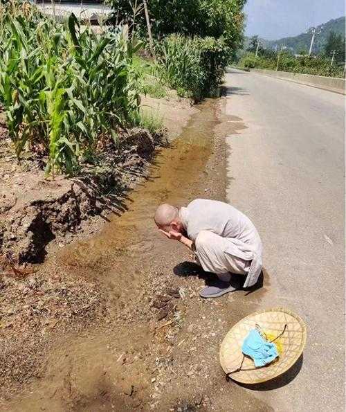 豫西深山里的防控样本：汝阳实现210天双清零的地理密码