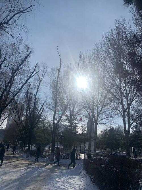 辽宁铁岭突破纪录，新民市防控为何遭遇意外漏洞