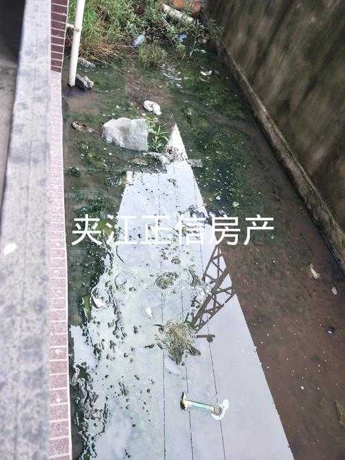 31省份多点散发，夹江5例成防控焦点