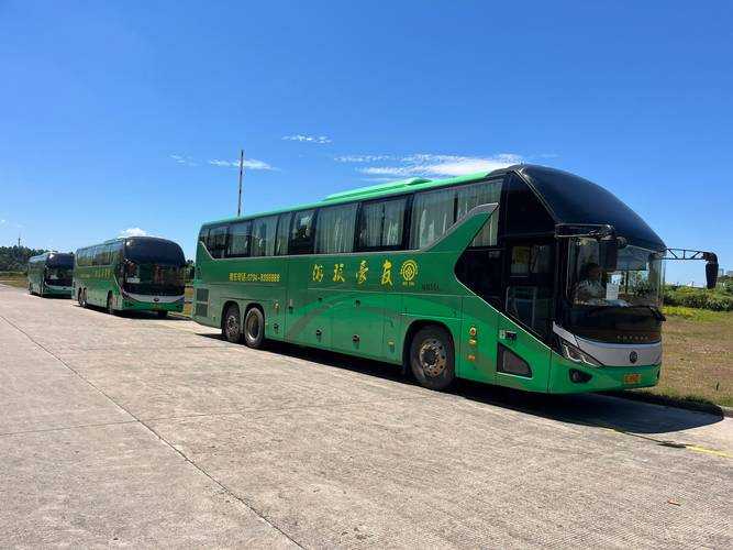 31省份多点散发，湖南株洲芦淞区新增5例引关注