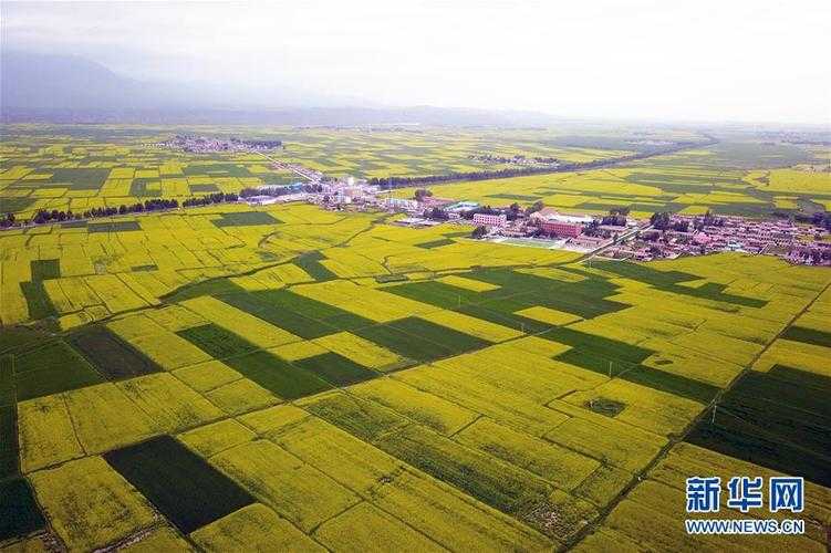 民乐县日增14例，甘南牧区为何成疫情洼地？