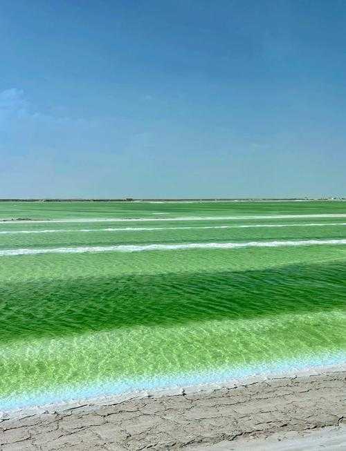 高原屏障下的防控奇迹：青海为何连续72天本土零新增？