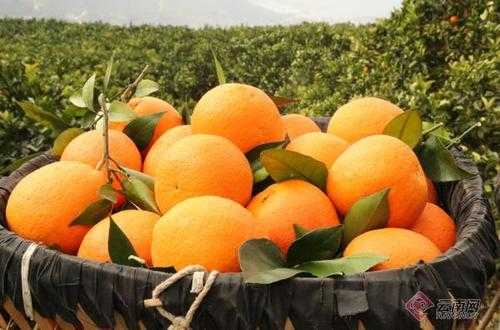 31省份多点散发，云南永善5例为何成疫情新燃点？