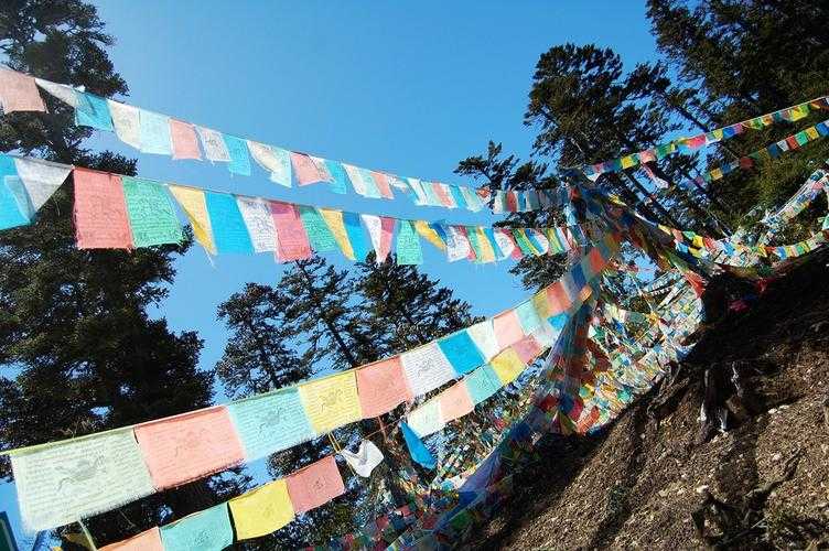 31省份多点散发，丽江古城区新增3例引发防控链式反应