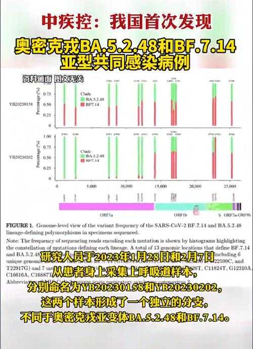 2022年贵州奥密克戎亚型防控挑战与应对策略