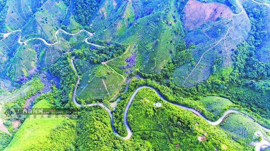 31省份多点散发，福建平潭县新增7例为何成防控焦点？