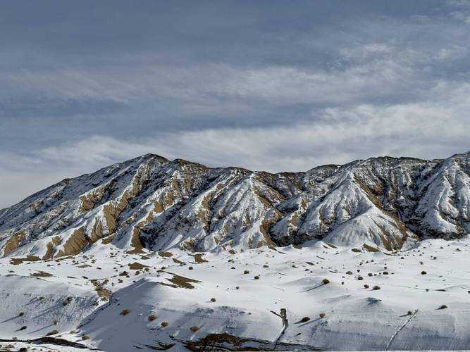 四川宝兴县零新增背后：青藏高原屏障下的独特防疫曲线